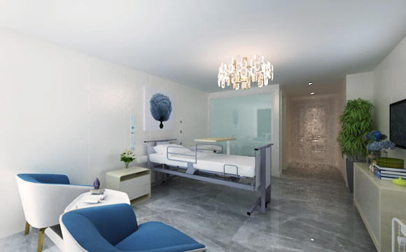 升降護(hù)理床