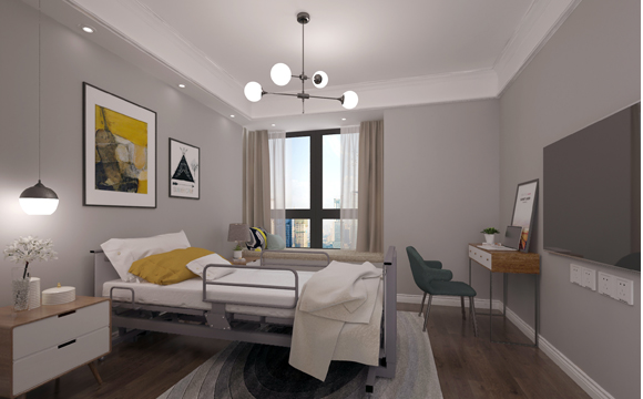 老人多功能電動護理床 老人多功能電動護理床