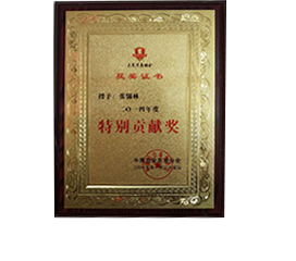 特別貢獻獎