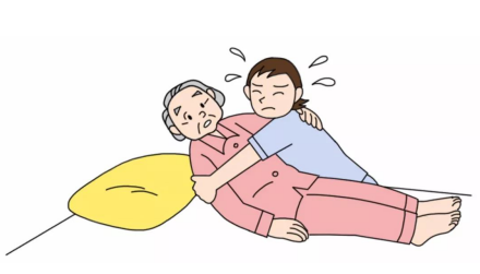 普通日用床 普通日用床