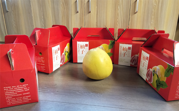 廣東電動護理床廠家